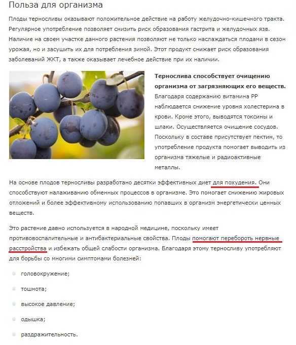 Терн ягода: терн ягода полезные свойства, терн ягода польза и вред