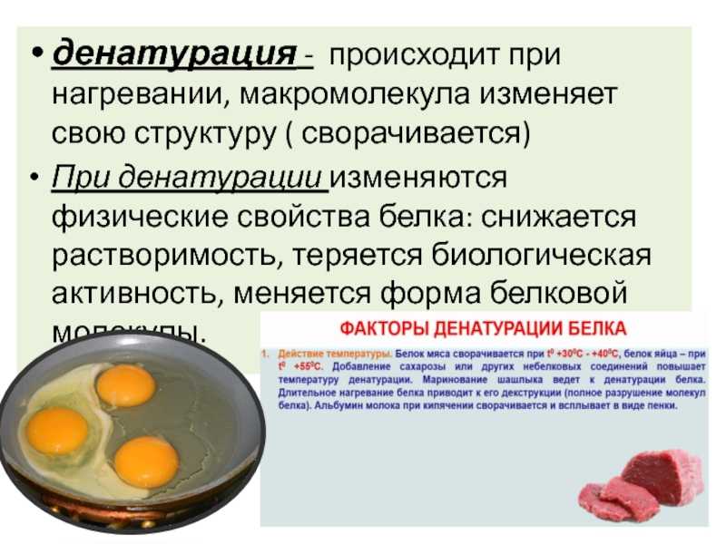 Физические свойства белков | химия онлайн