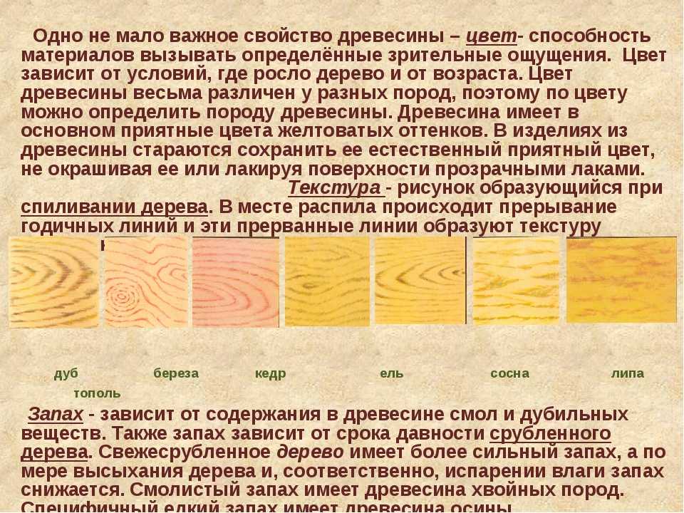 Что такое иноземные породы дерева: особенности и преимущества