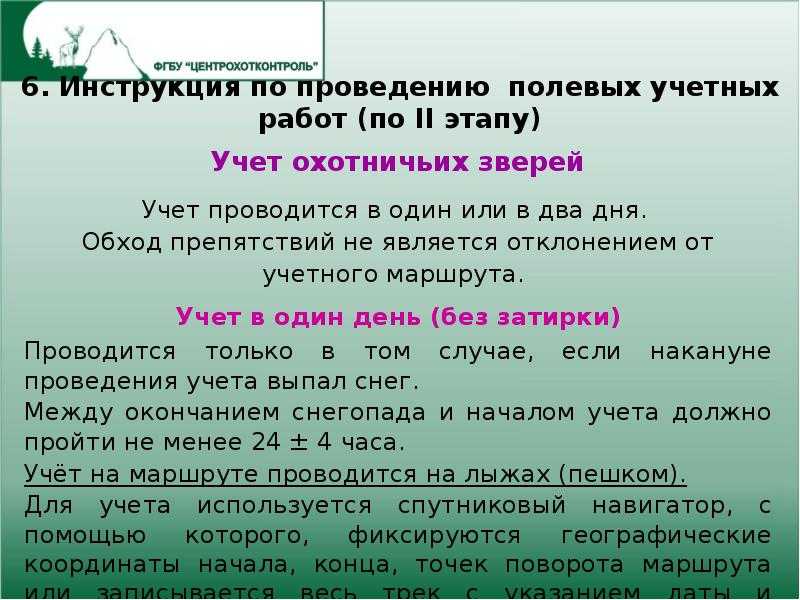 Учет численности охотничьих животных на егерских участках