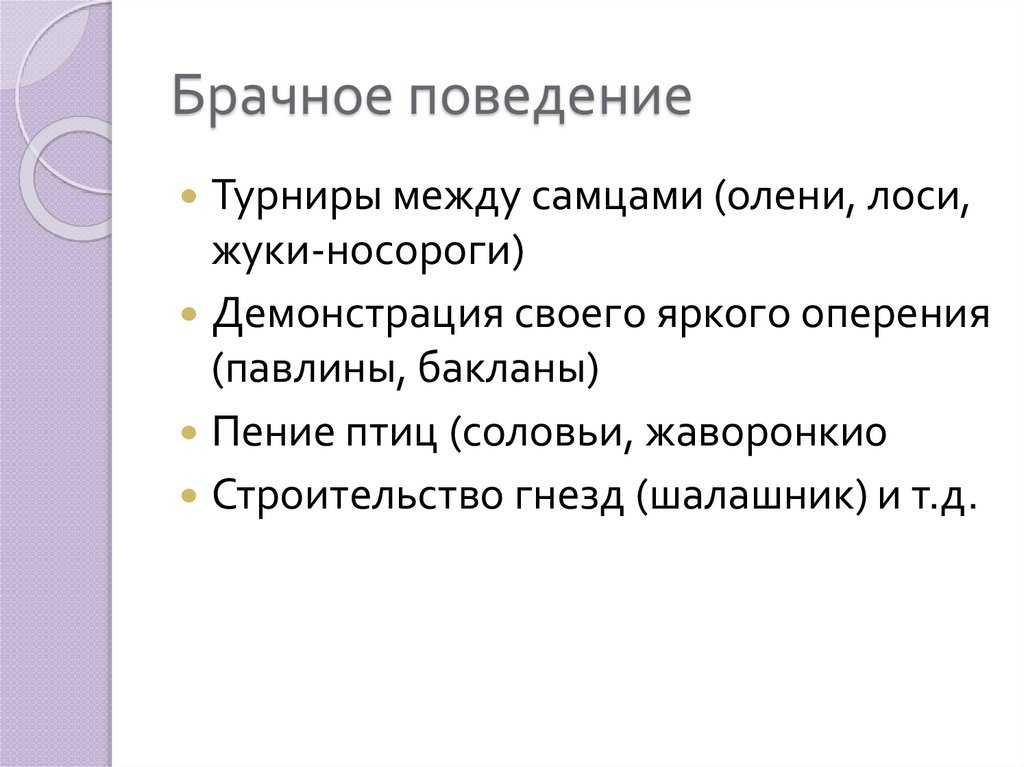 15 особенностей поведения различных животных во время спаривания - zefirka