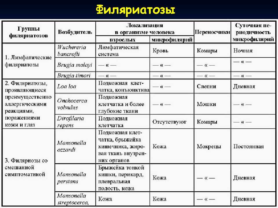 Онхоцеркоз крупного рогатого скота и лошадей