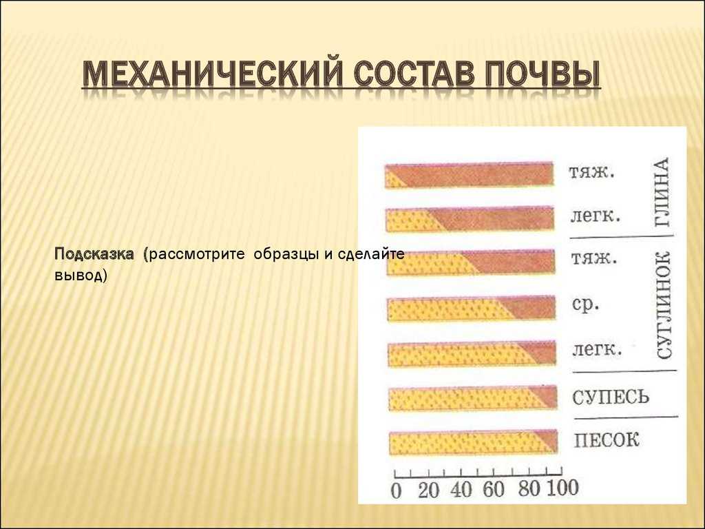 Лекция 1. основы почвоведения (стр. 6 )