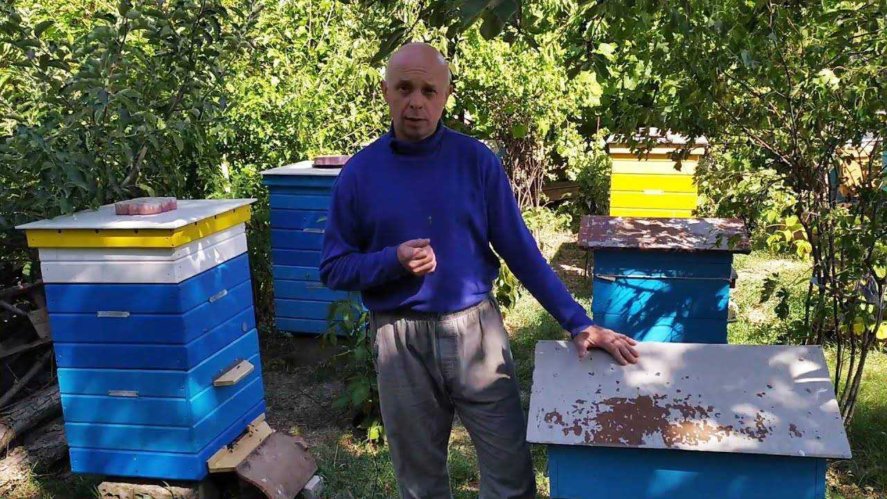 Быстрое расширение пасеки в любой сезон