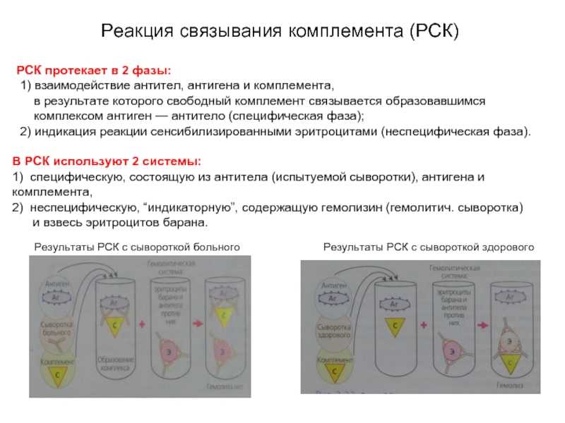 Серологические реакции между антигенами и антителами