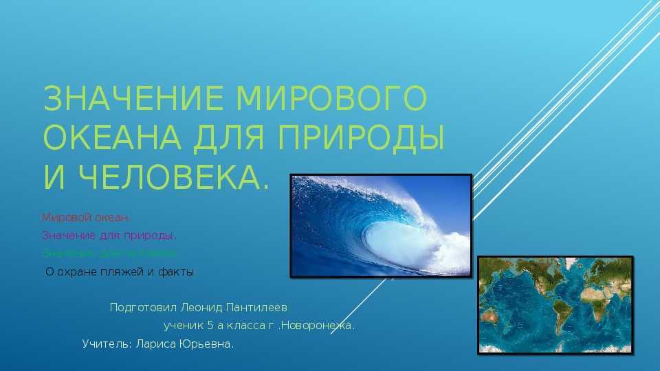Мировой океан: его части, подробная информация, интересные факты