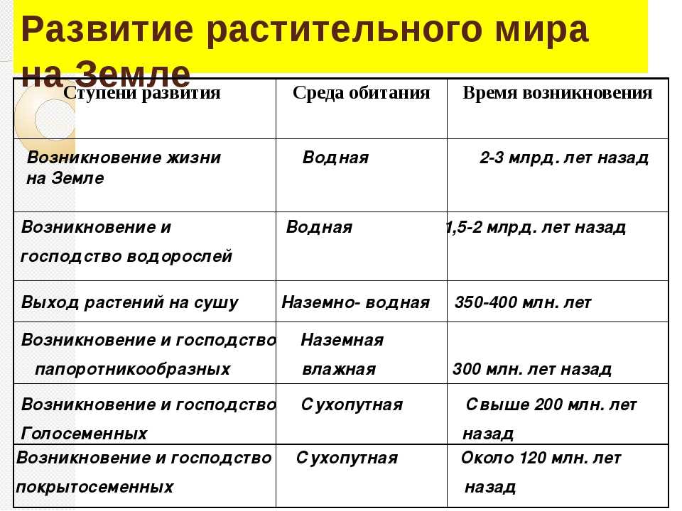 Эволюция растений: огромная проблема для приверженцев эволюции  [часть i] - origins.org.ua