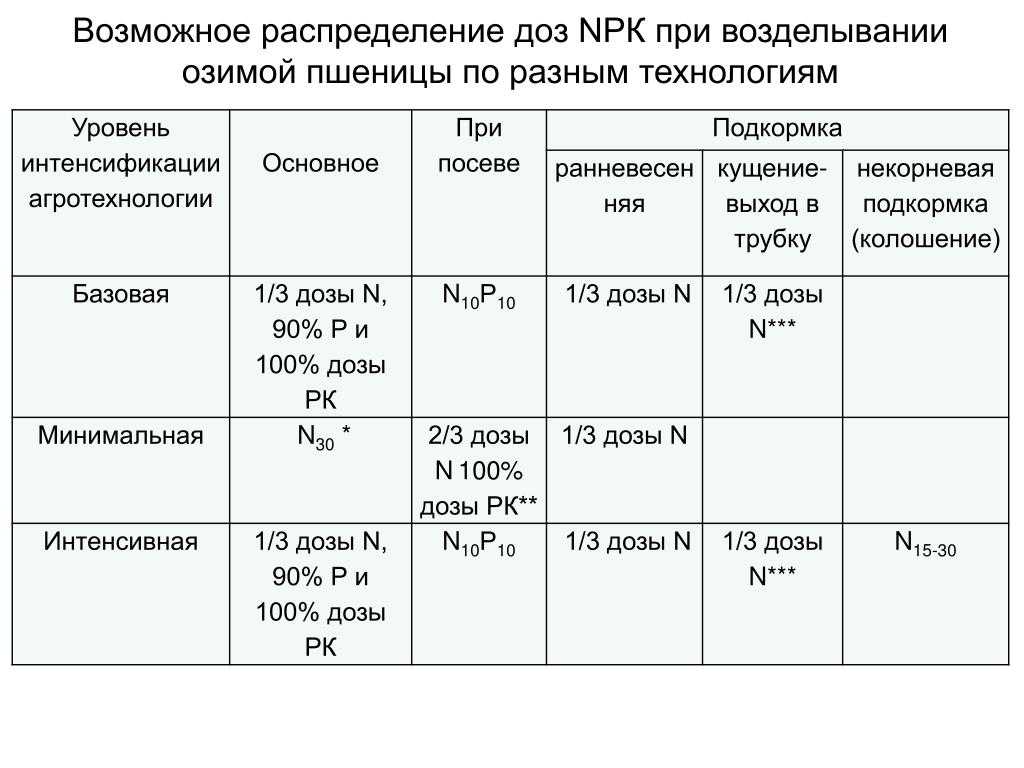 Посев озимой пшеницы в 2023 году: сроки, когда сажать