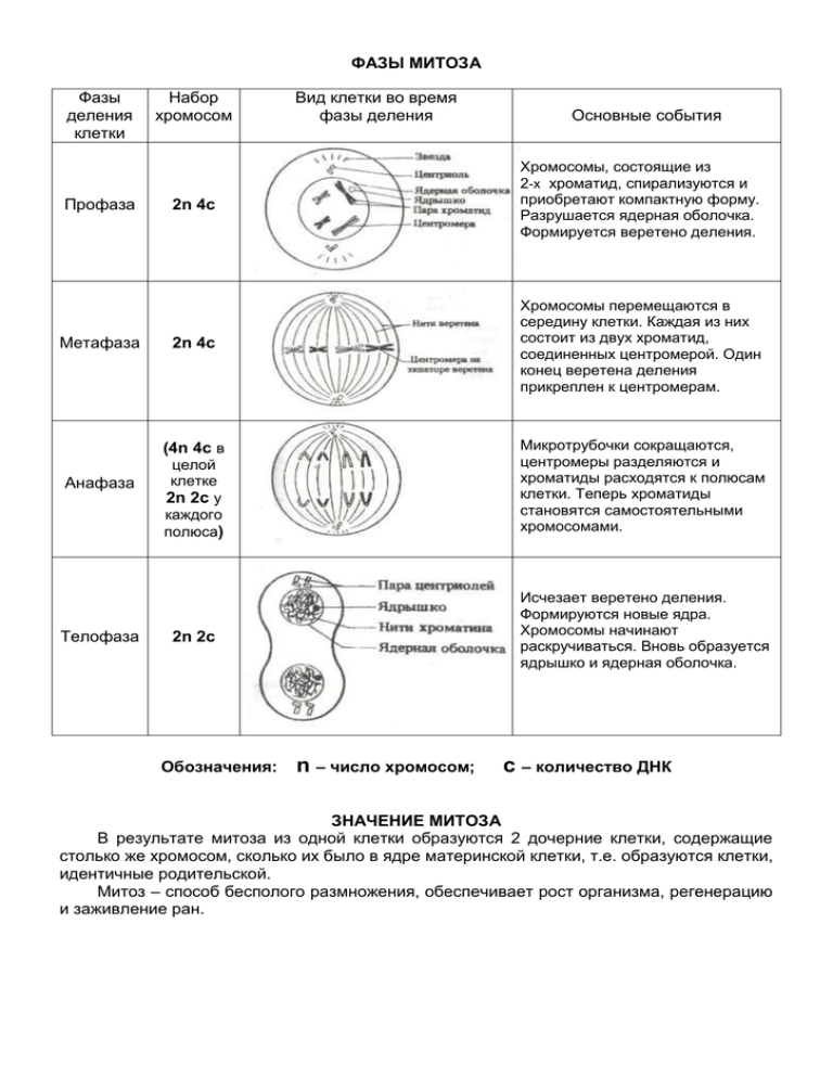 Биология