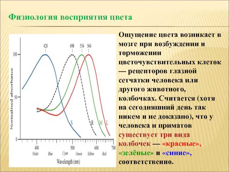 Нежное введение в трансдукцию в машинном обучении