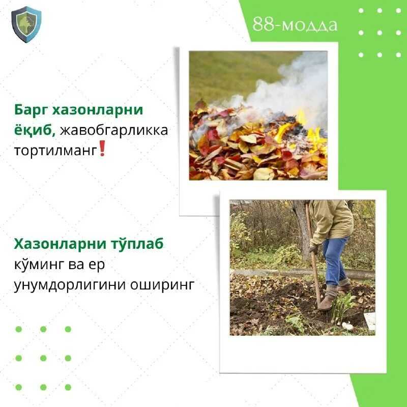История почвенной картографии