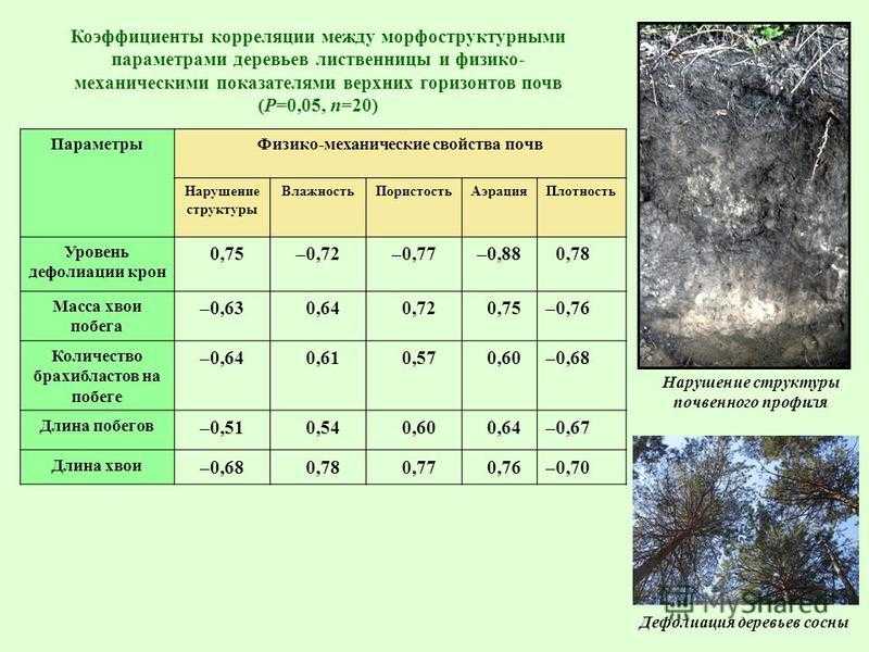 Почва, физико - механические свойства