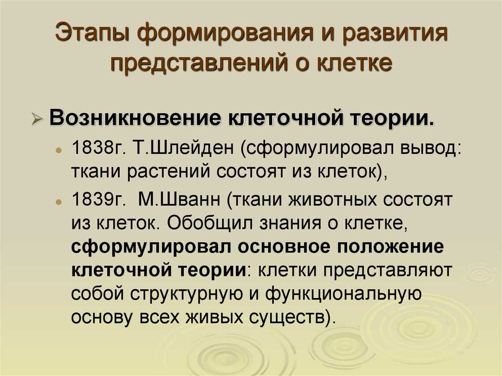История протоплазмы, общие характеристики, компоненты, функции / биология | thpanorama - сделайте себя лучше уже сегодня!