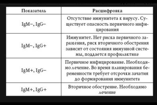 Бруцеллы