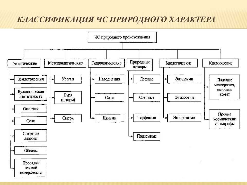 Описание способов распространения семян растений в природе