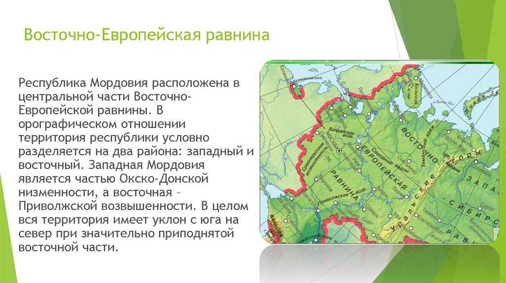 Валдайская возвышенность. где находится на карте россии, климат, животный и растительный мир