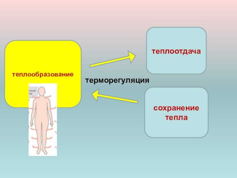 То в жар, то в холод