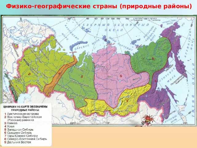 Какие природные зоны есть на земле? карта, список, характеристика и фото