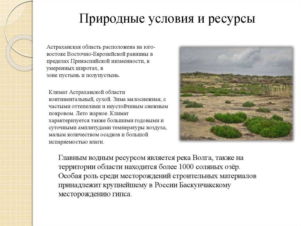 Ресурсы животного мира