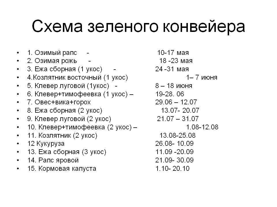 Расчет потребности в кормах и организация зеленого конвейера спк "боровиковское" красносельского района - курсовая работа (теория) по сельскому хозяйству