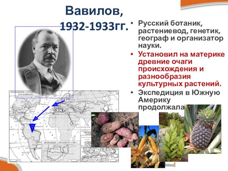 Николай иванович вавилов (1887-1943) - мое семейное древо