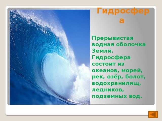 Части мирового океана, его строение и описание
