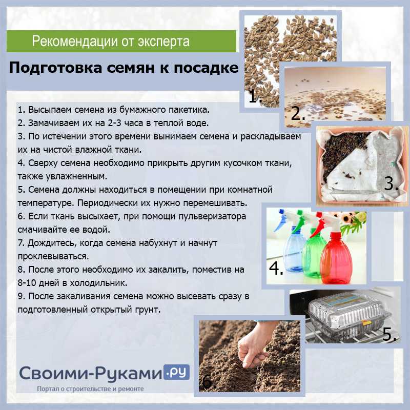 Раздел 1. лесное  семеноводство