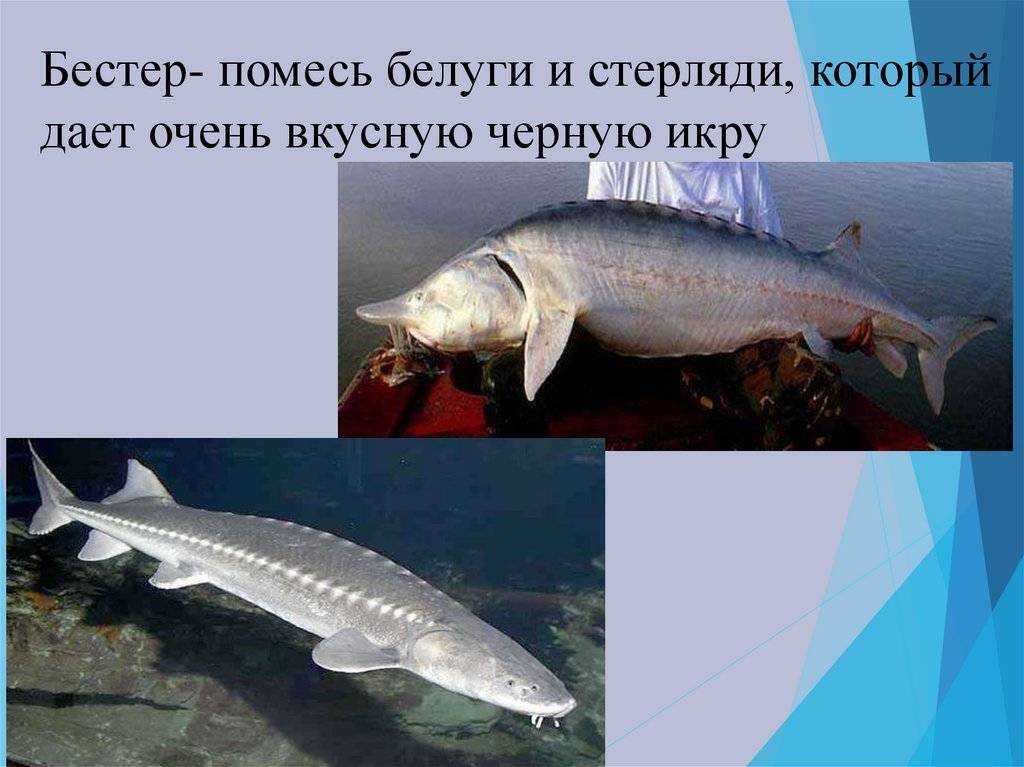 Главная