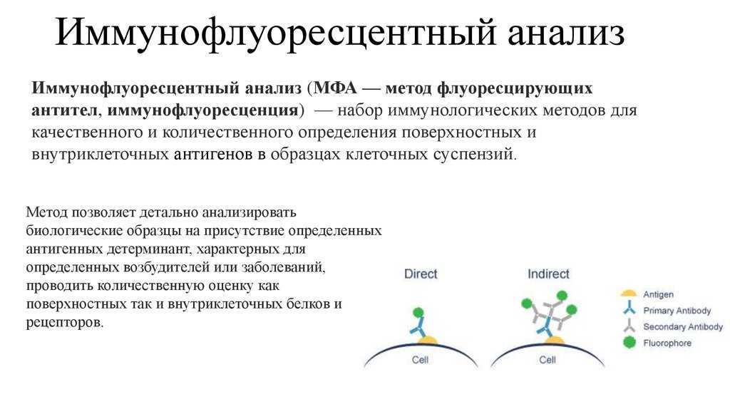 Иммунология