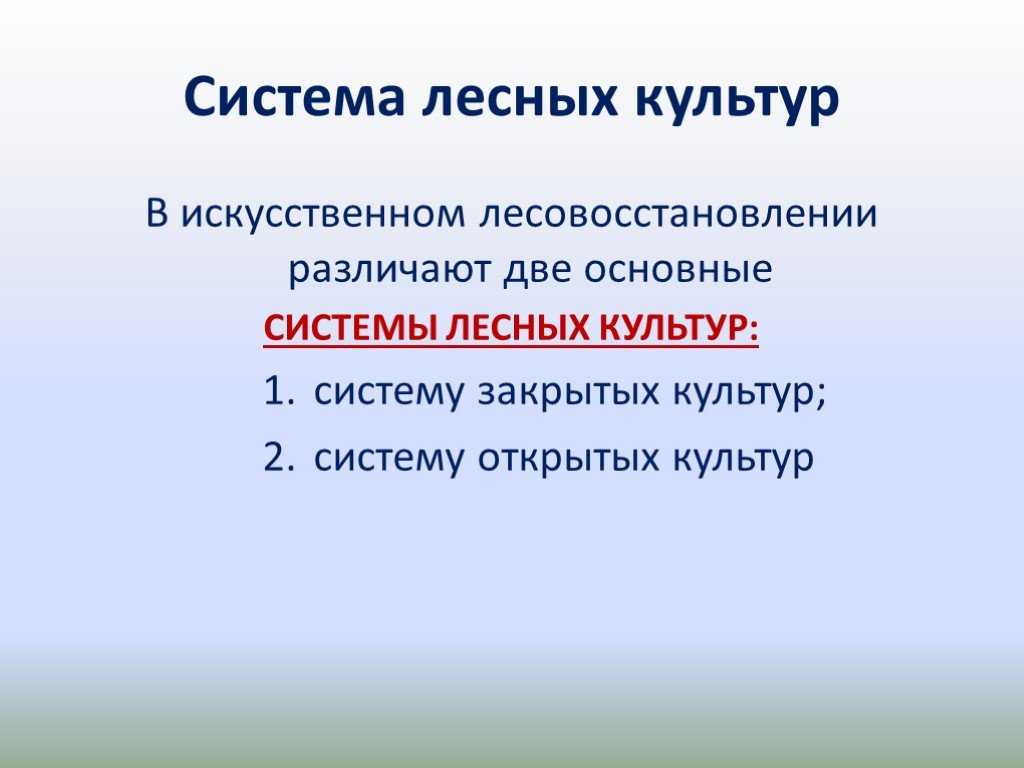 Прогноз развития защитного лесоразведения в россии до 2020 года