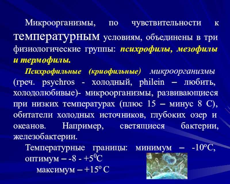 Психрофилы