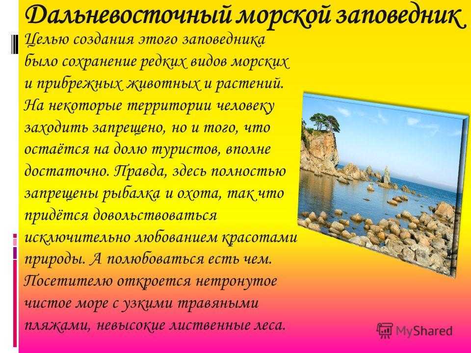 Природа - заповедники амурской области