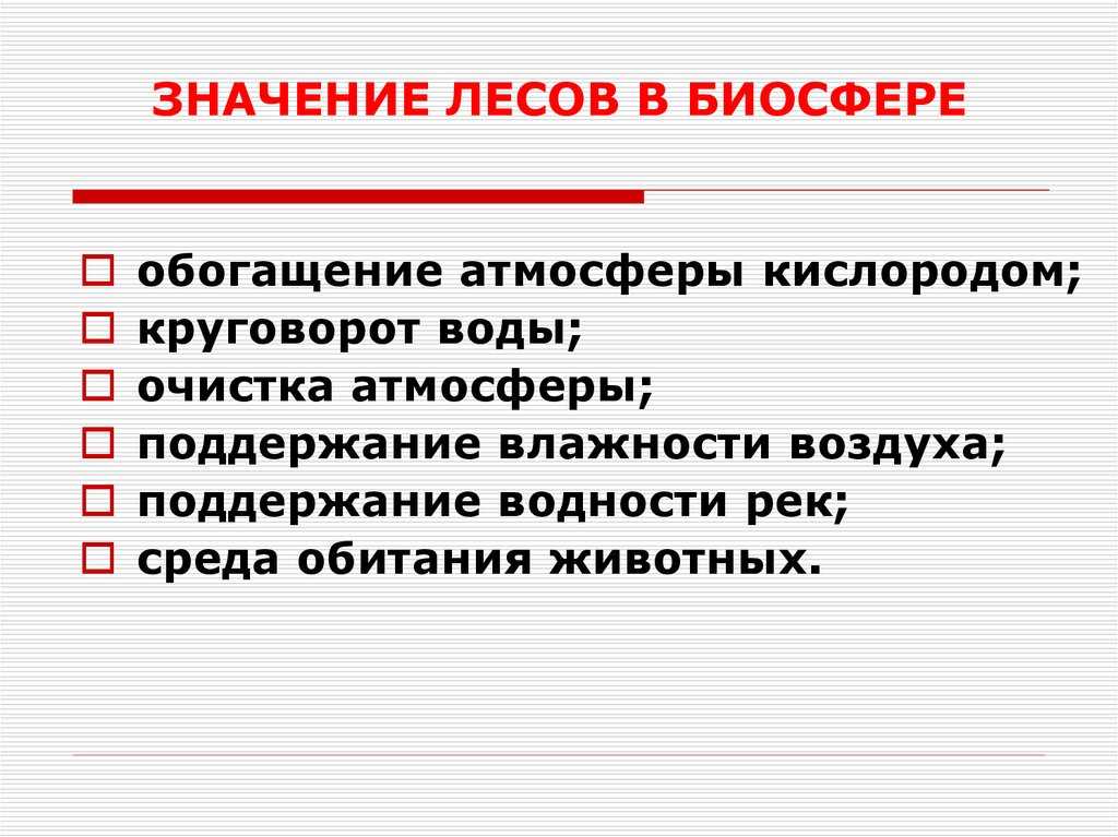 Лес - важнейший растительный ресурс - степановских а.с. экология. учебник для вузов