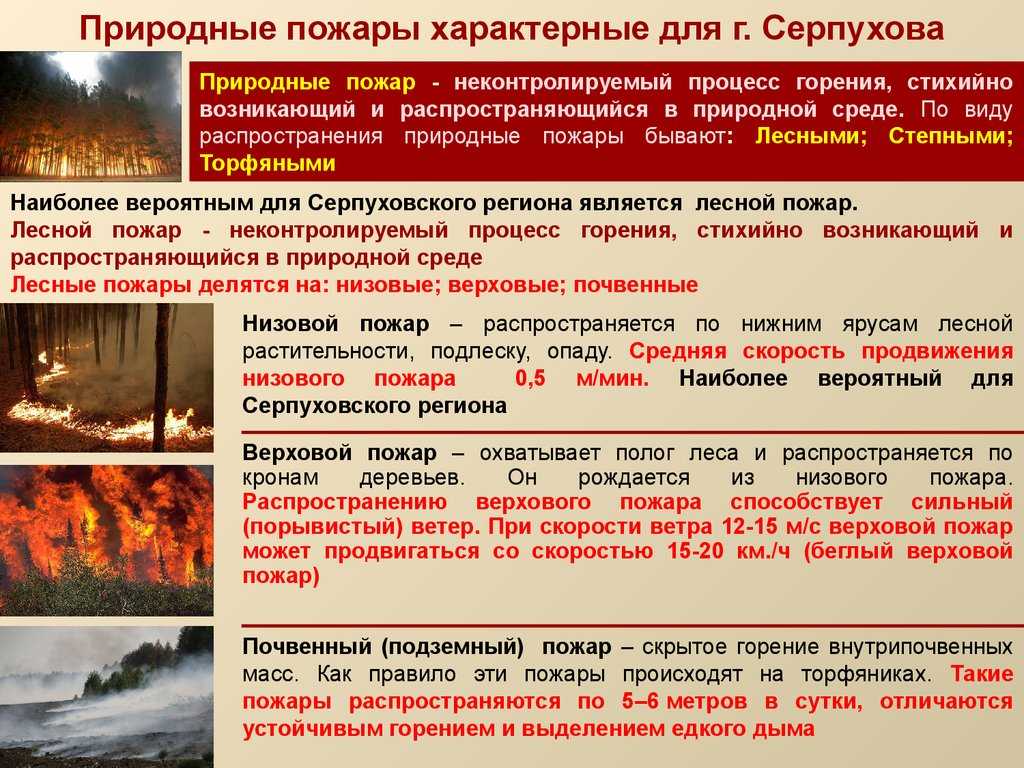 Тушение лесных пожаров - группа компаний огнеборец