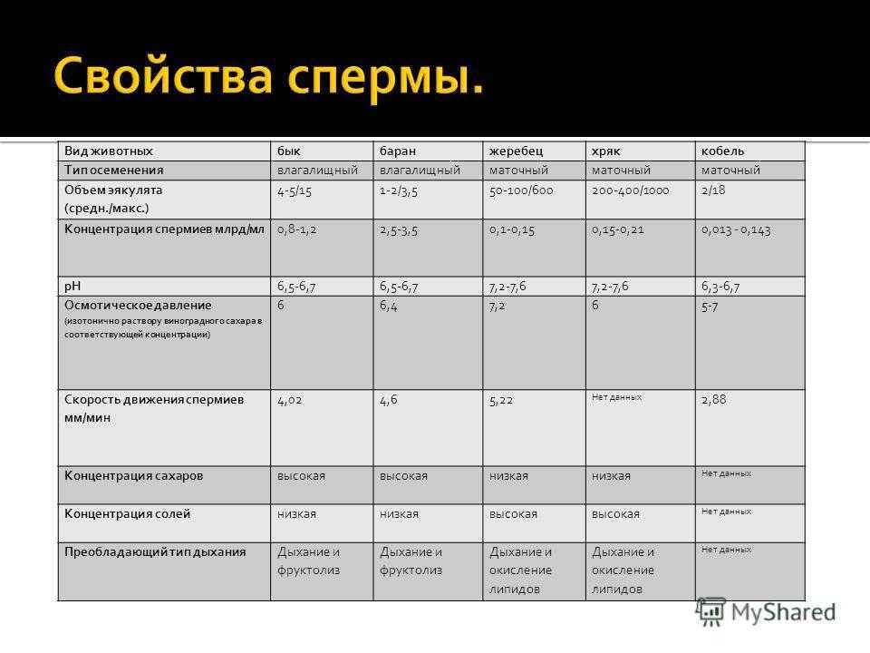Из чего состоит мужская сперма и откуда она берется?