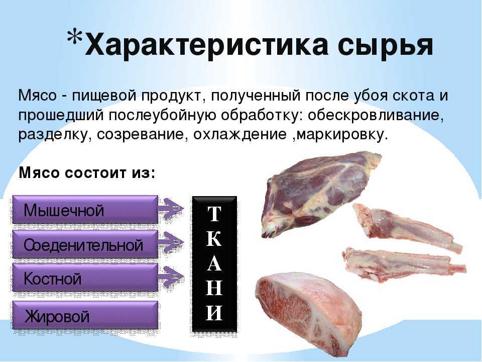 § 27. значение мяса и субпродуктов в питании человека. механическая обработка мяса животных | технология. 8 класс. авторский коллектив: е. с. глозман, е. н. кулакова, ю. л. хотунцев, о. а. кожина, и. в. воронин, в. в. воронина, а. е. глозман