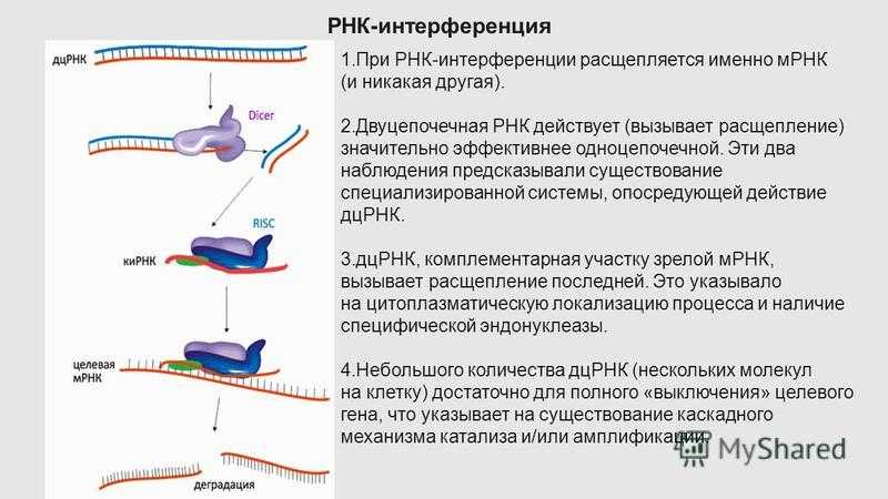 Квантовая генетика: основные принципы и невероятные возможности