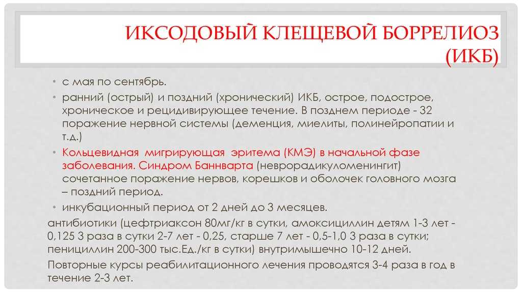 Спирохетоз (боррелиоз)