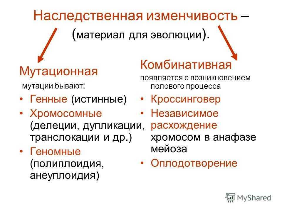 Виды наследственной изменчивости человека
