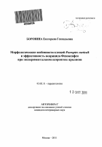 Чесотка у лошадей - котики и собачки