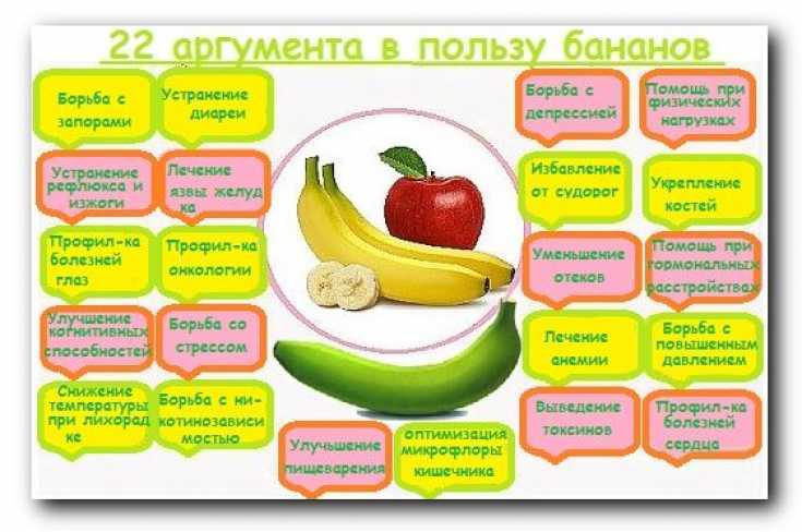 Польза бананов, их состав и калорийность