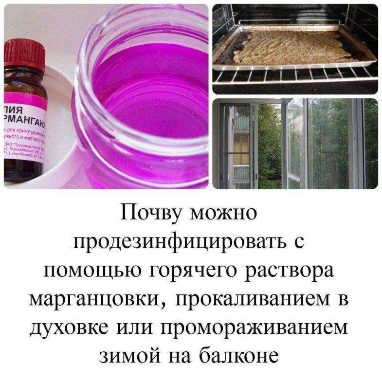 Агротехнические способы. борьба с сорняками