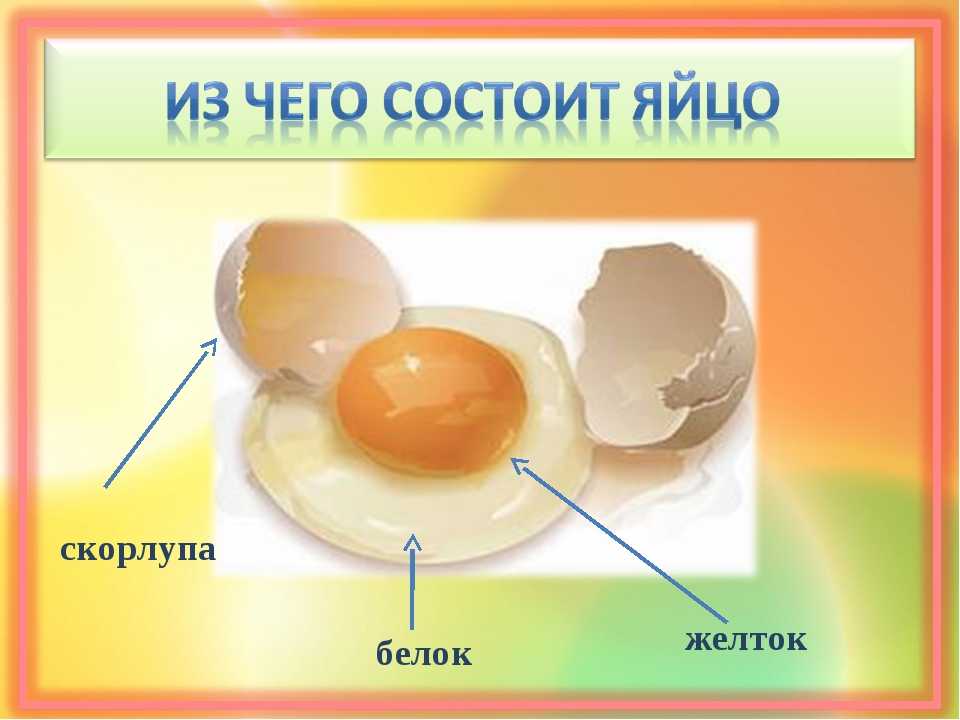 Химический состав куриного яйца и его свойства