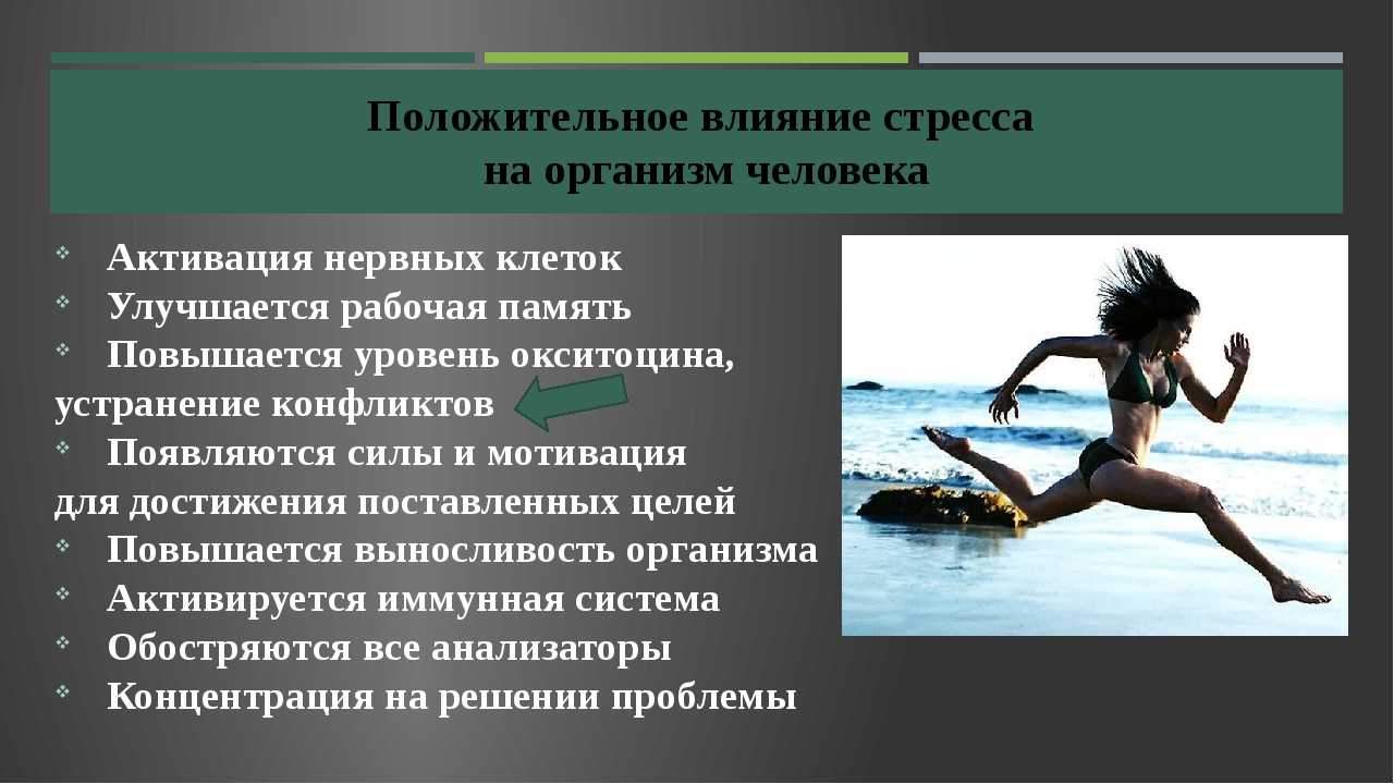 Как живут в степях. страна великой степи. история, которую сохранила земля урок: население и хозяйство лесостепной и степной зон