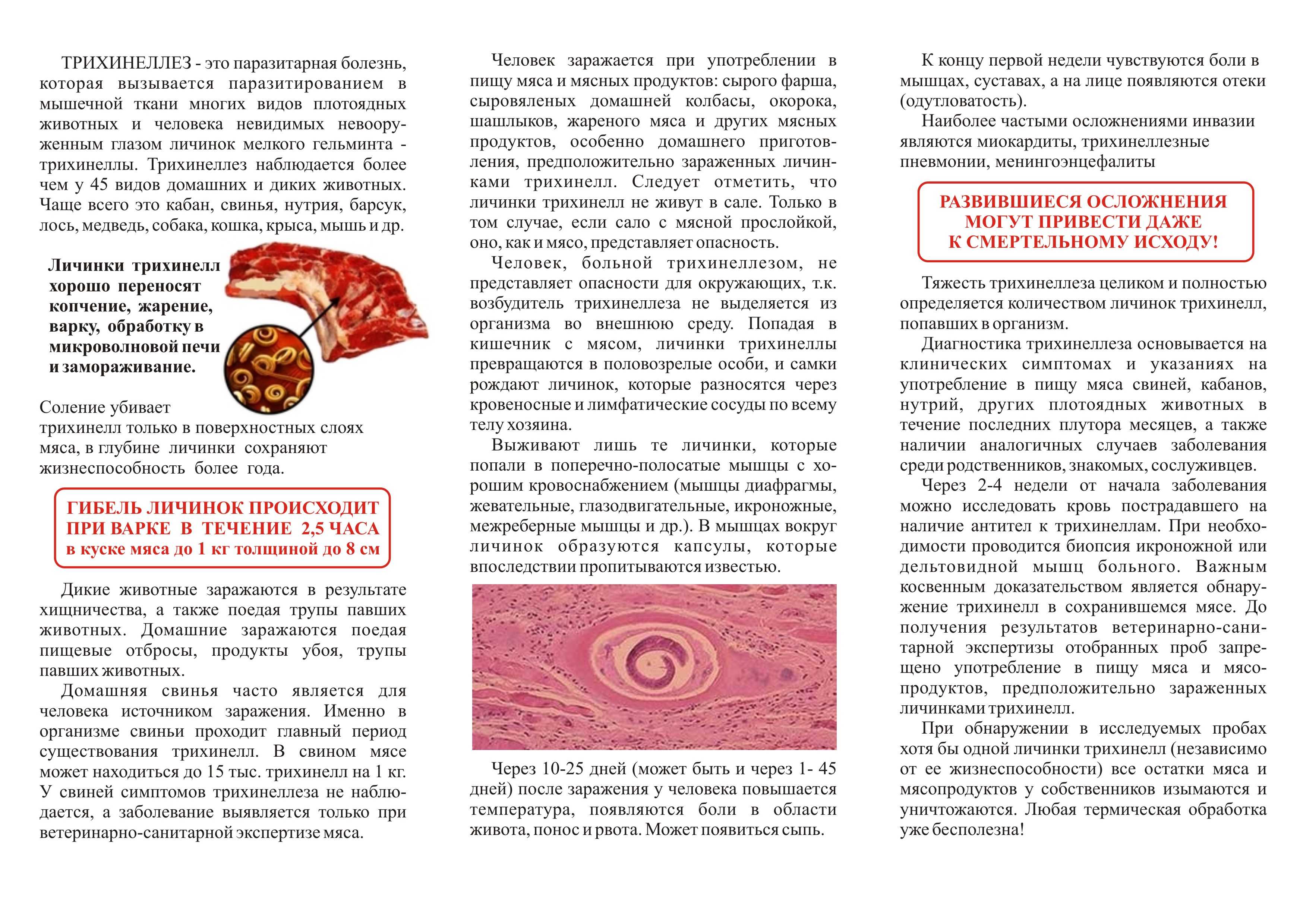 Трихинеллез свиней — агроxxi