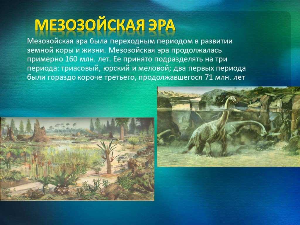 Краткое описание мезозойской эры и ее периодов