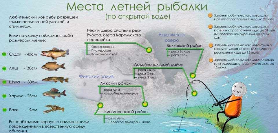 Площадь рек мурманской области