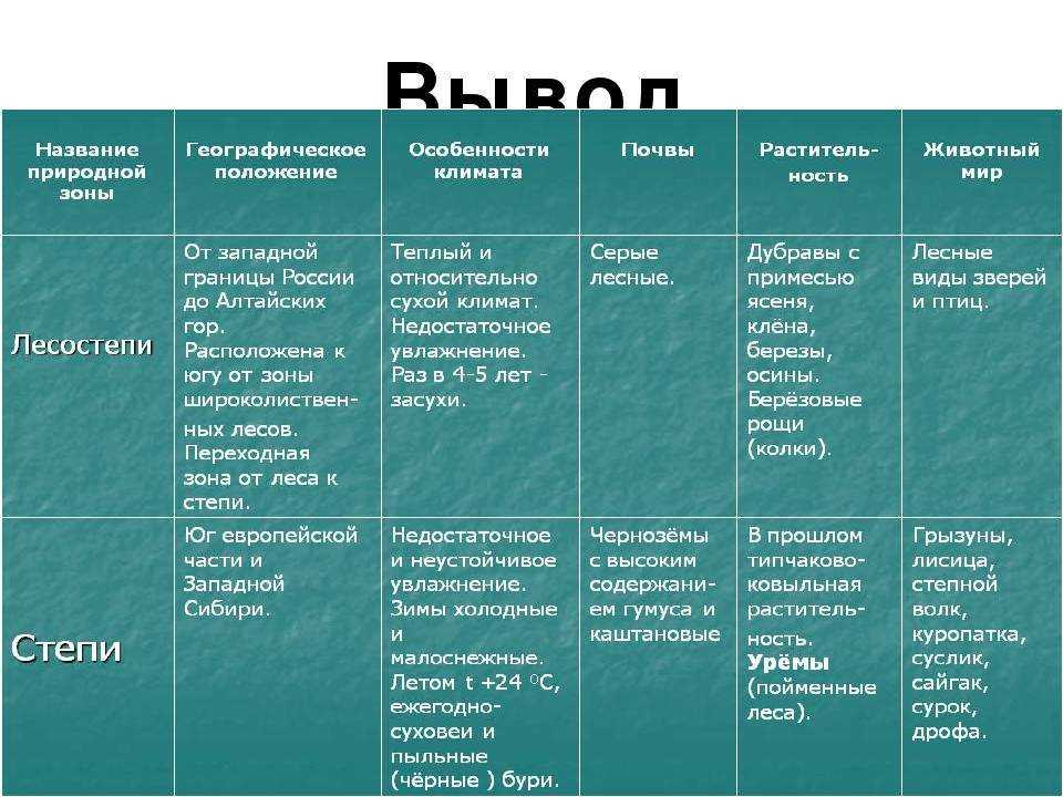 Природная зона тайга (география, 8 класс): характерные особенности, растительный и животный мир