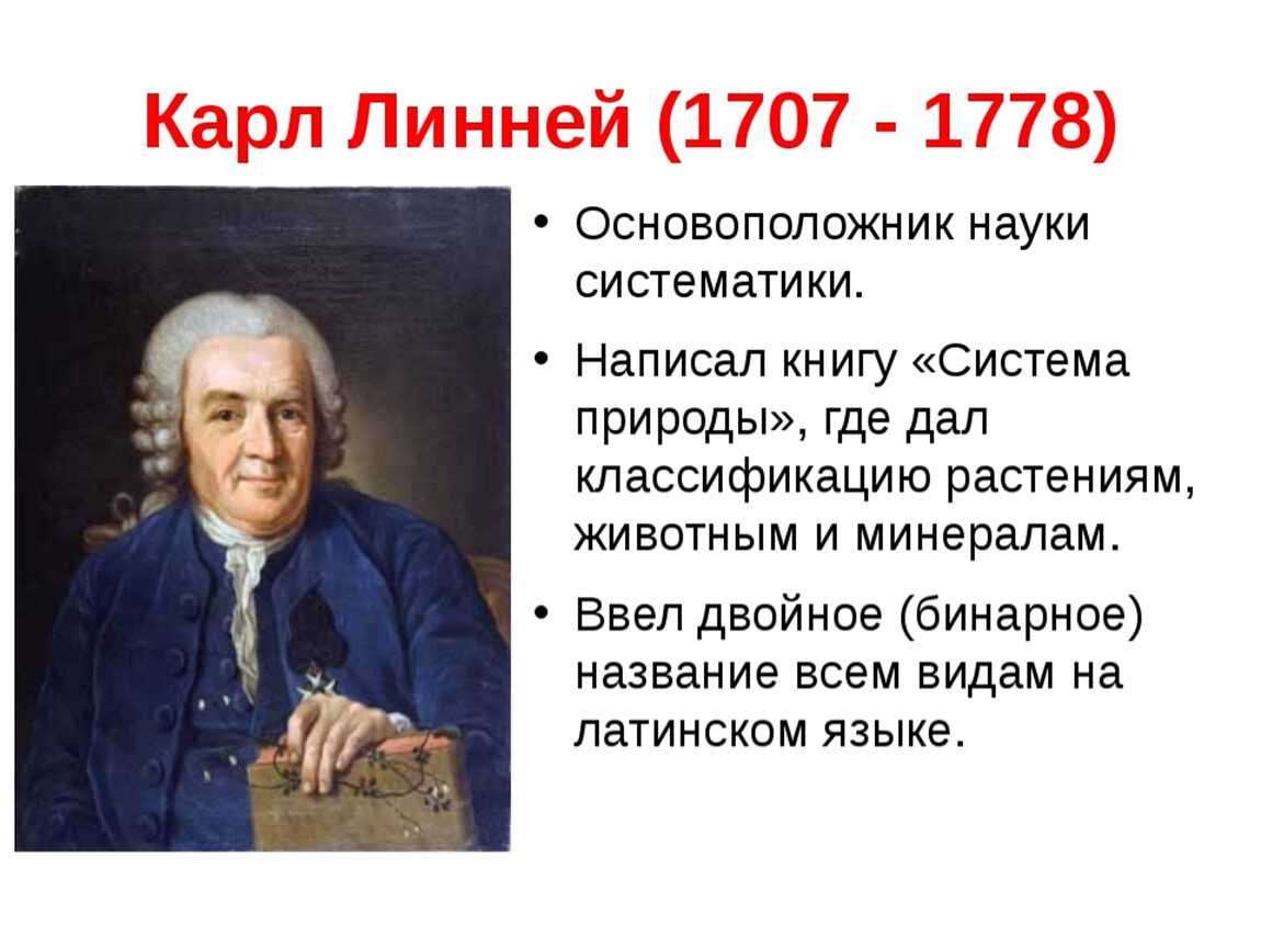 Карл линней биография кратко – самый важный вклад в биологию и интересные факты