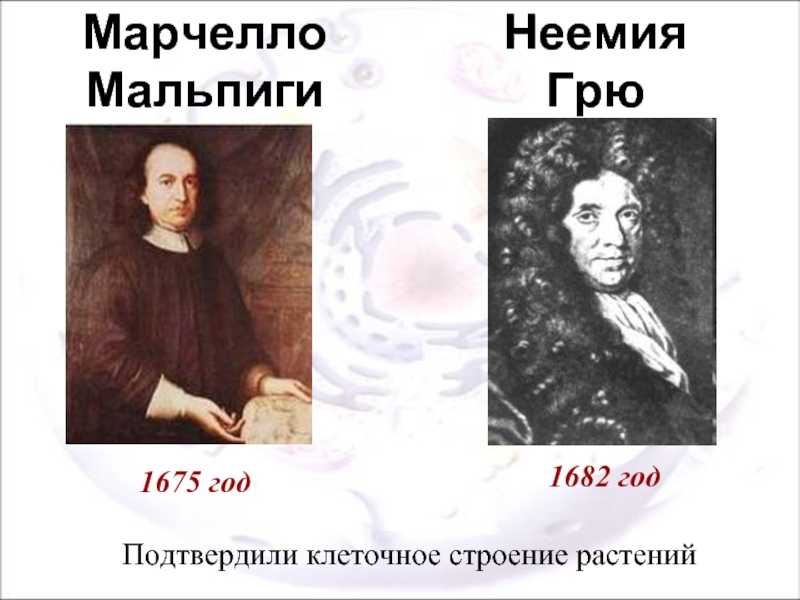 Открытие микроскопа